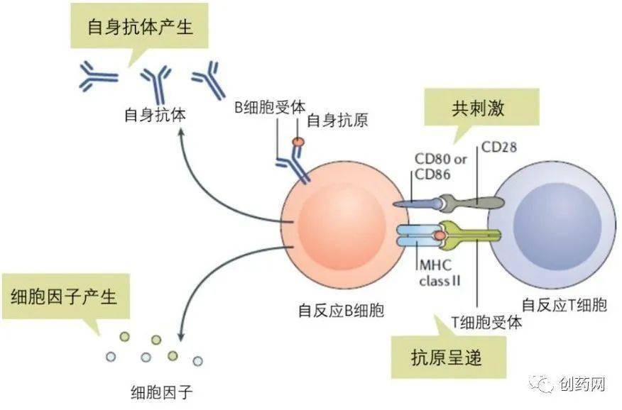 吉林大学学报是c类还是d类_替尼类药物_吉非替尼类药物