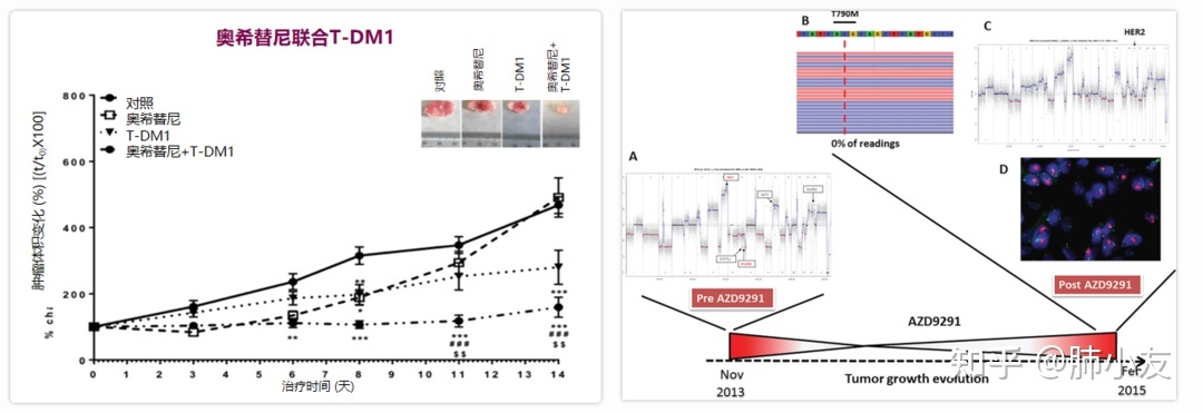 吃奥希替尼耐药的状况_奥斯替尼和奥希替尼_azd 9291 奥希替尼
