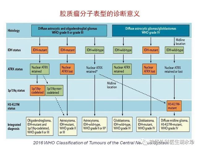 贝伐珠单抗赠药_贝伐珠单抗脑胶质瘤_贝伐珠单抗最新价格