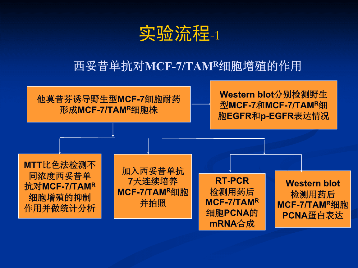 贝伐珠单抗靶向是啥_贝伐珠单抗_西妥昔单抗与贝伐珠单抗区别