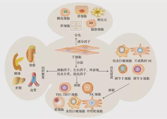 贝伐珠单抗多少钱一只_贝伐珠单抗pk免疫治疗_贝伐珠单抗注射液