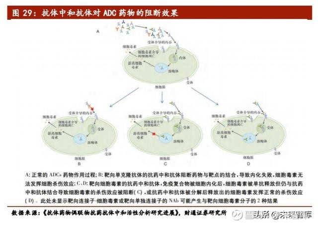 贝伐珠单抗注射液_太原贝伐珠单抗医保_贝伐珠单抗可以报销吗