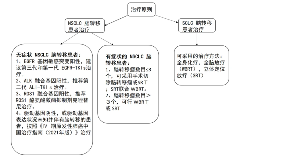 贝伐珠单抗不良反应_贝伐珠单抗 耐药性_贝伐珠单抗抗脑水肿