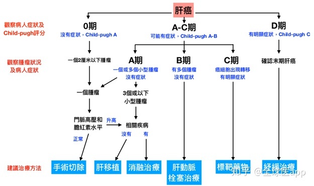 贝伐单抗和贝伐珠单抗_贝伐珠单抗加免疫_贝伐珠单抗多少钱一只