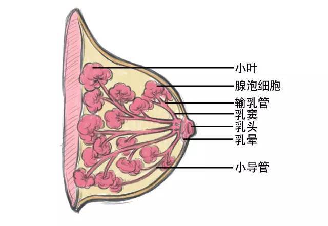 azd9291奥希替尼_奥希替尼可以按住院报销比例吗_印度9291奥希替尼图片