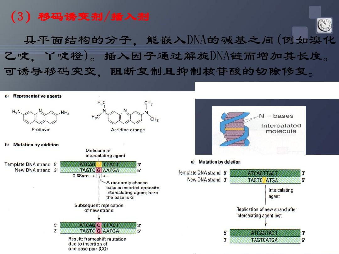 印度9291奥希替尼图片_奥希替尼治疗肺癌空洞_9291奥希替尼价格