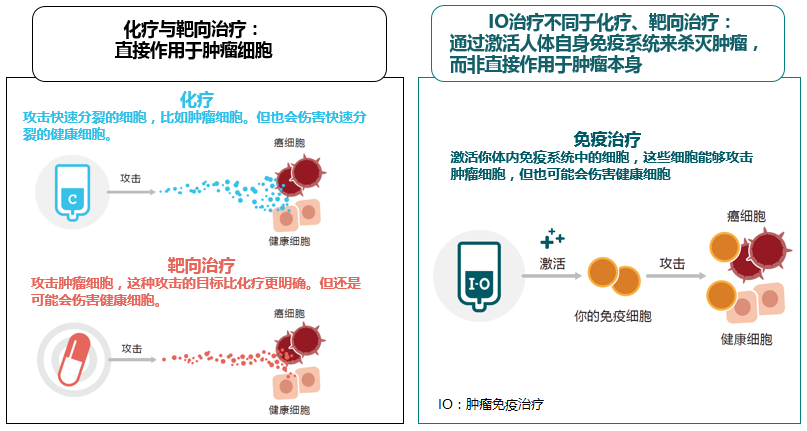 靶向药替非吉尼_曲美替尼靶向药多少钱_靶向药物飞尼妥