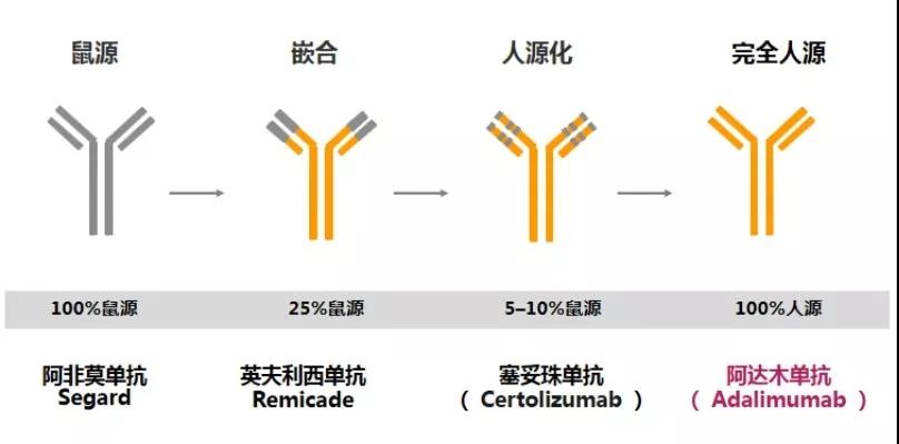 贝伐珠单抗会引发发烧_贝伐珠单抗是靶向药吗_贝伐珠单抗的副作用