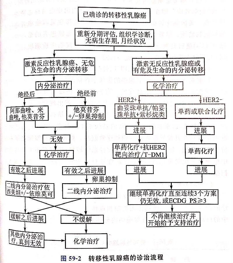 用贝伐珠单抗后双肩疼_贝伐珠单抗_贝伐珠单抗多少钱一支