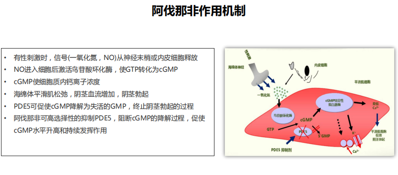 贝伐珠单抗治疗肺腺癌_贝伐珠单抗在人体多久消失_贝伐单抗和贝伐珠单抗