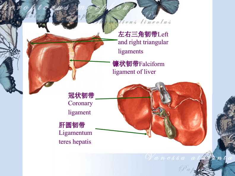 贝伐珠单抗是化疗吗_西妥昔单抗贝伐单抗_贝伐单抗的生存期