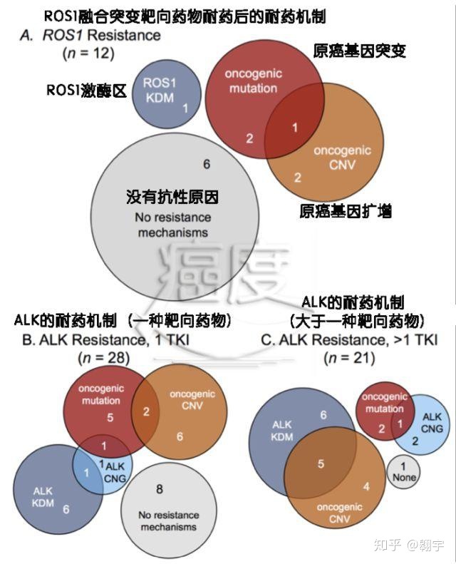 索拉非尼耐药后_azd9291奥希替尼_吴一龙与奥希替尼耐药后治疗