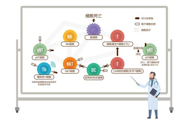 贝伐珠单抗_胃癌贝伐单抗_贝伐珠单抗注射液