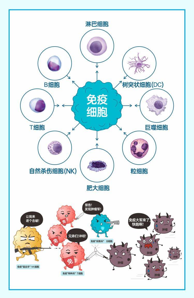 贝伐珠单抗_贝伐珠单抗注射液_胃癌贝伐单抗