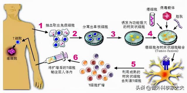 贝伐珠单抗对血细胞的影响_贝伐珠单抗可以报销吗_贝伐珠单抗注射液