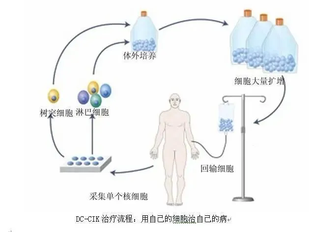 贝伐珠单抗对血细胞的影响_贝伐珠单抗可以报销吗_贝伐珠单抗注射液