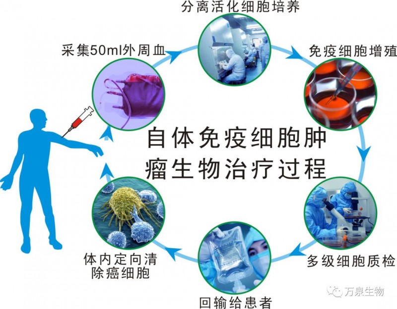 贝伐珠单抗是化疗药吗_贝伐珠单抗对血细胞的影响_贝伐珠单抗价格