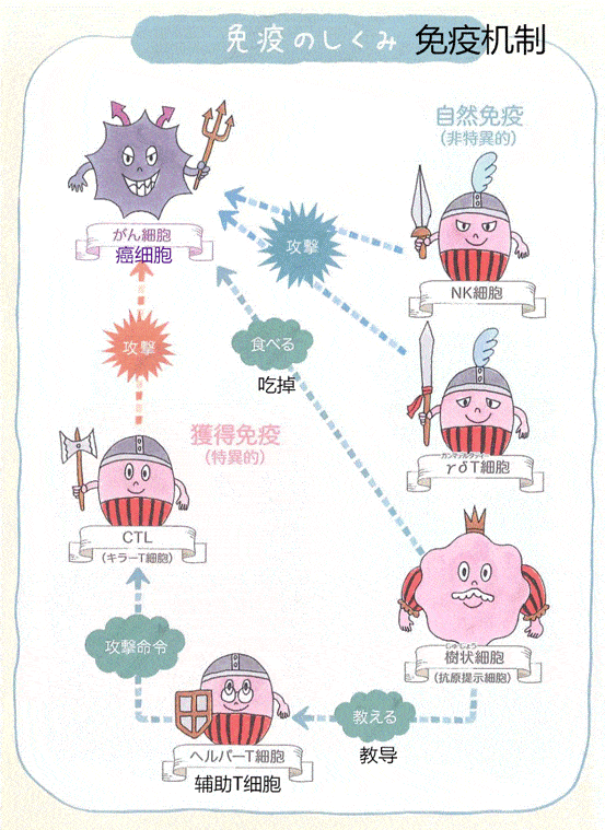 贝伐珠单抗_贝伐珠单抗对血细胞的影响_贝伐珠单抗是化疗药吗