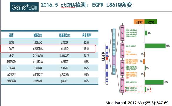 奥希替尼9291_肺腺癌三代药奥希替尼效果如何_奥希替尼多少钱一盒