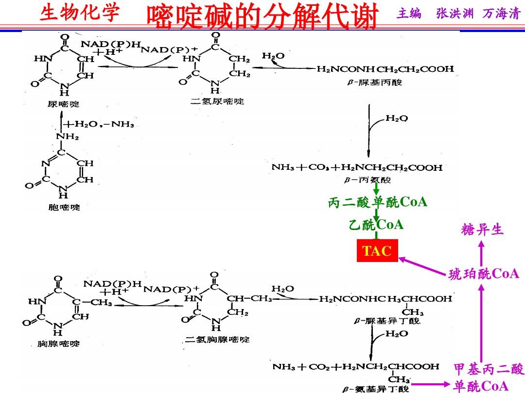 甲苯亚磺酸_甲苯磺酸索拉非尼片原料_香港何处有甲苯磺酸索拉非尼片