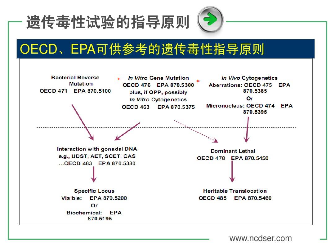 贝伐珠单抗靶向是啥_贝伐珠单抗可以报销吗_贝伐单抗能使血小板降低吗