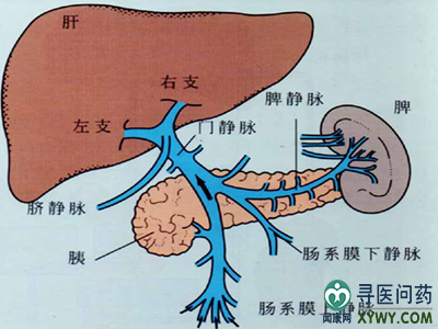 贝伐珠单抗是化疗药吗_贝伐珠单抗靶向是啥_贝伐珠单抗肝癌副作用