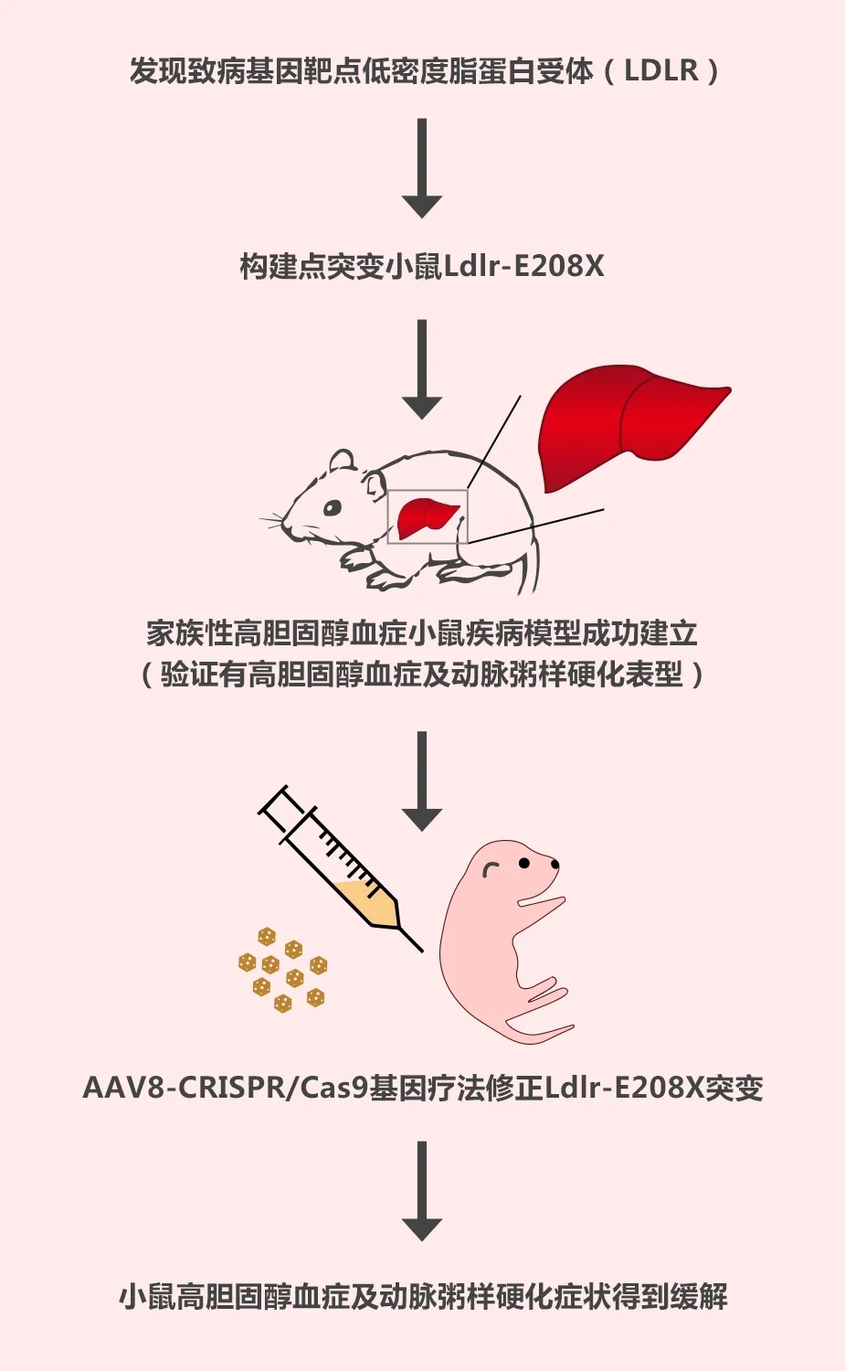 化疗用药基因检测_吉非替尼的用药基因_儿童用药基因检测