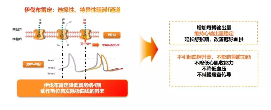 贝伐单抗鲁抗_贝伐珠单抗可以报销吗_贝伐珠单抗说明书