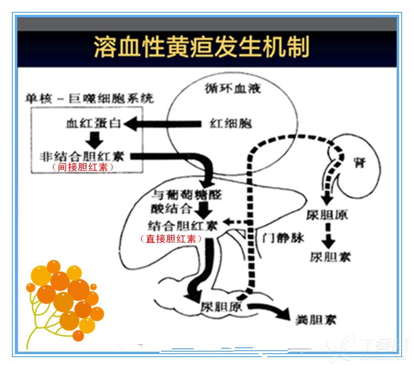 肠癌晚期的治疗_靶向治疗对肠癌_吉非替尼可以治疗结直肠癌