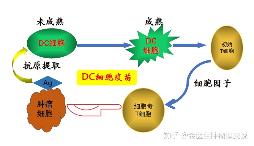 贝伐珠单抗是化疗吗_贝伐单抗-阿瓦斯汀大陆卖多少钱?_脑胶质瘤可用贝伐单抗吗