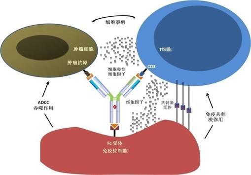 奥希替尼9291哪里买_奥希替尼赖药后再用什么药_奥希替尼9291药品