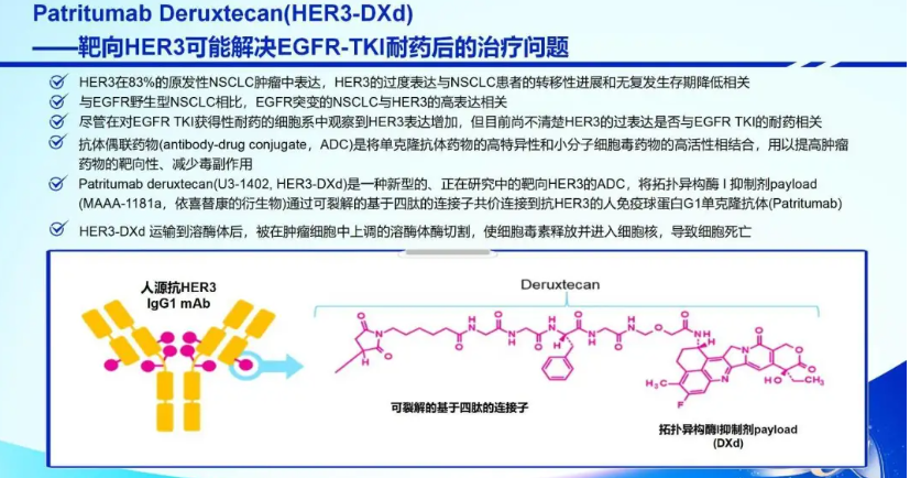 肺癌晚期治不好吗?_肺癌晚期化疗好还是保守治疗好_吉非替尼能治好晚期肺癌