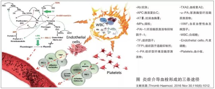 贝伐单抗联合疗法_贝伐珠单抗多少钱一支_贝伐珠单抗说明书