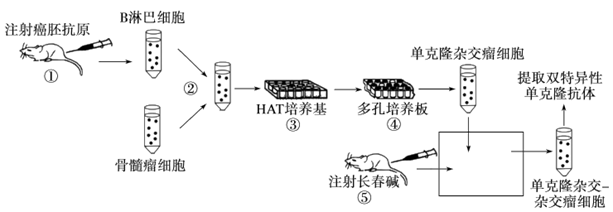 贝伐珠单抗是化疗药吗_贝伐珠单抗说明书_贝伐珠单抗要长期注射吗