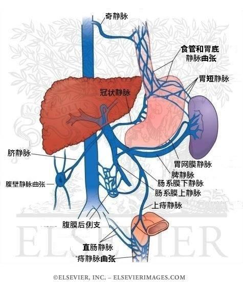 贝伐珠单抗说明书_贝伐单抗印度版_使用贝伐单抗肝功能