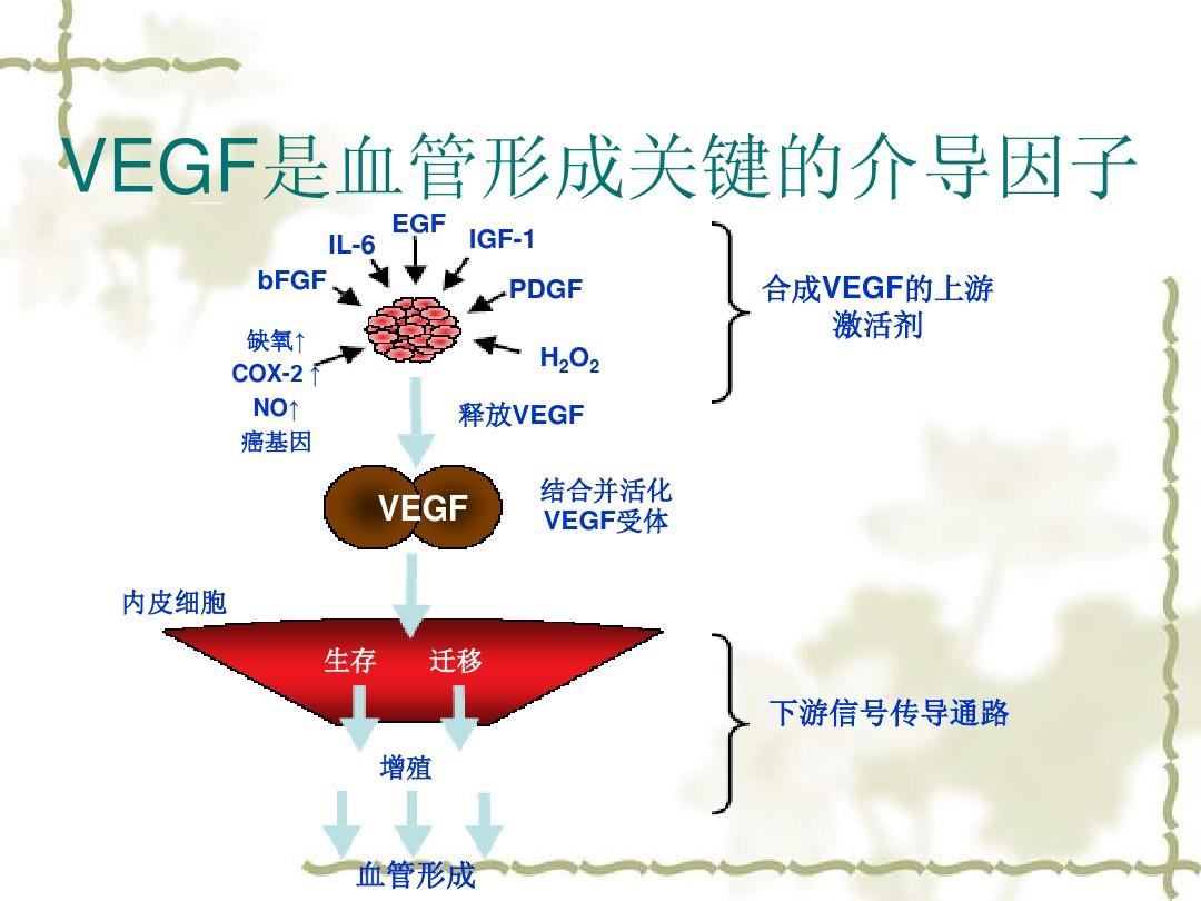 贝伐单抗有国产的吗_贝伐单抗有无效病人临床反应_贝伐珠单抗可以报销吗