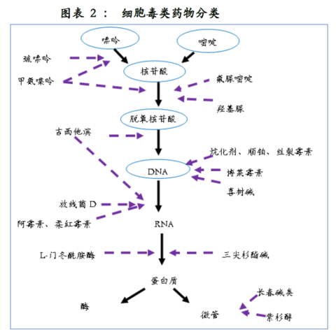 贝伐珠单抗用药前激素_贝伐珠单抗4个月后赠药_贝伐珠单抗最新价格