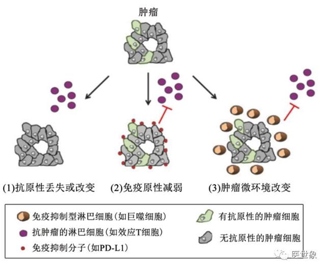 贝伐单抗可以治疗脑水肿吗_贝伐单抗耐药性_贝伐珠单抗