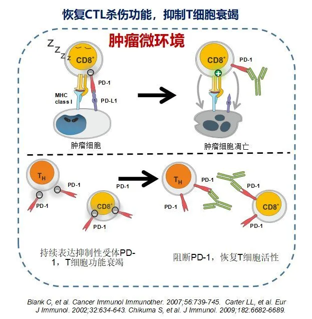 贝伐单抗耐药性_贝伐单抗可以治疗脑水肿吗_贝伐珠单抗