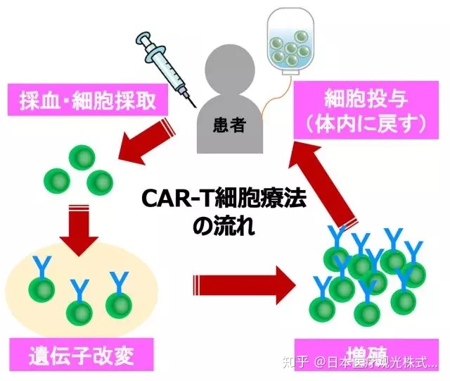 贝伐珠单抗4个月后赠药_贝伐珠单抗靶向是啥_贝伐单抗可以治疗脑水肿吗