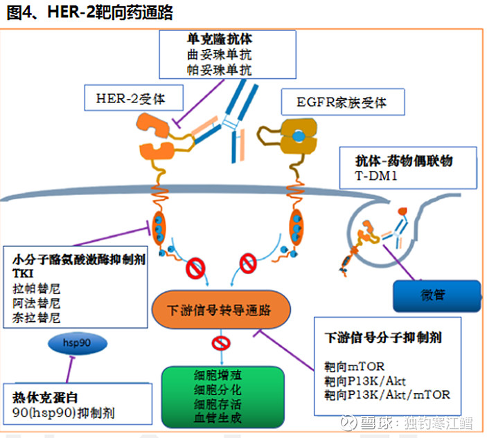 贝伐单抗在小细胞肺癌中的应用_贝伐单抗多久有耐药性_贝伐单抗是靶向药吗