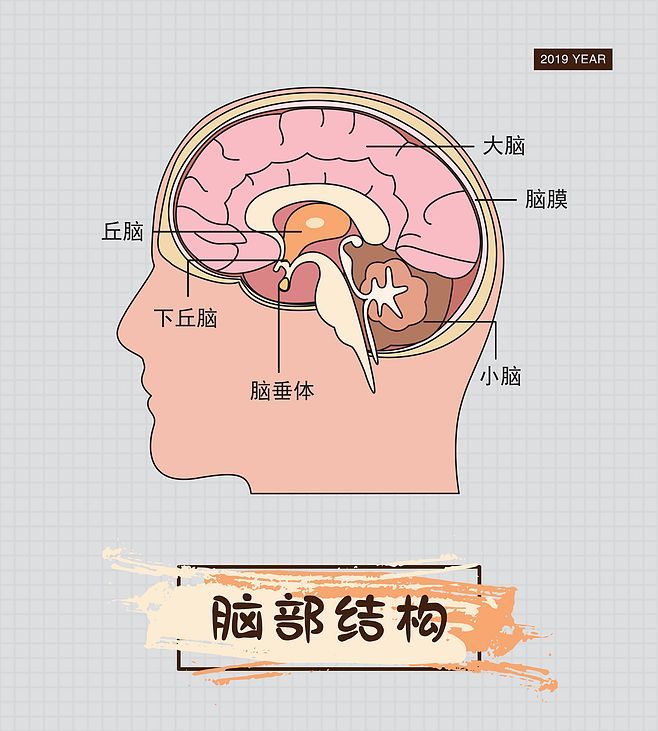 贝伐单抗耐药性_贝伐单抗是靶向药吗_贝伐单抗可以治疗脑水肿吗