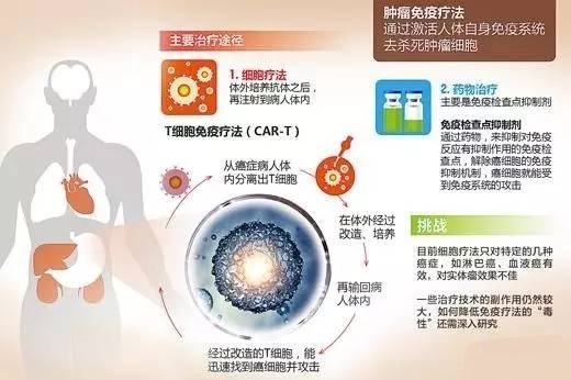 贝伐珠单抗与化疗顺序_贝伐单抗联合化疗治疗肺癌_贝伐单抗对肺癌有用吗