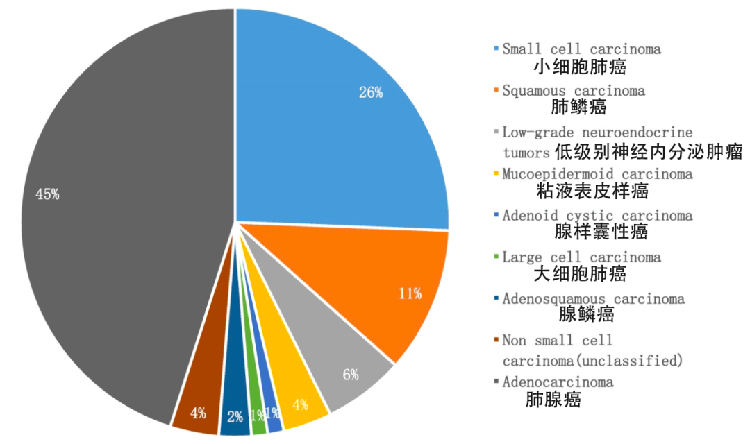 吉非替尼吃多产生耐药性_细菌耐药性的产生机制_细菌产生耐药性的机制