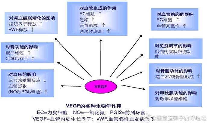 贝伐单抗乳腺癌新辅助_贝伐单抗是靶向药吗_贝伐珠单抗是化疗吗