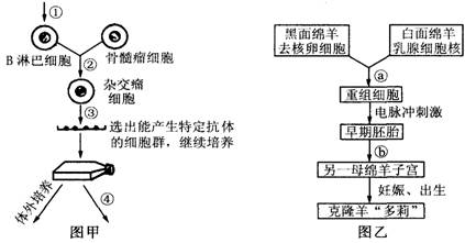 贝伐珠单抗说明书_贝伐珠单抗是靶向药吗_贝伐珠单抗如何代谢