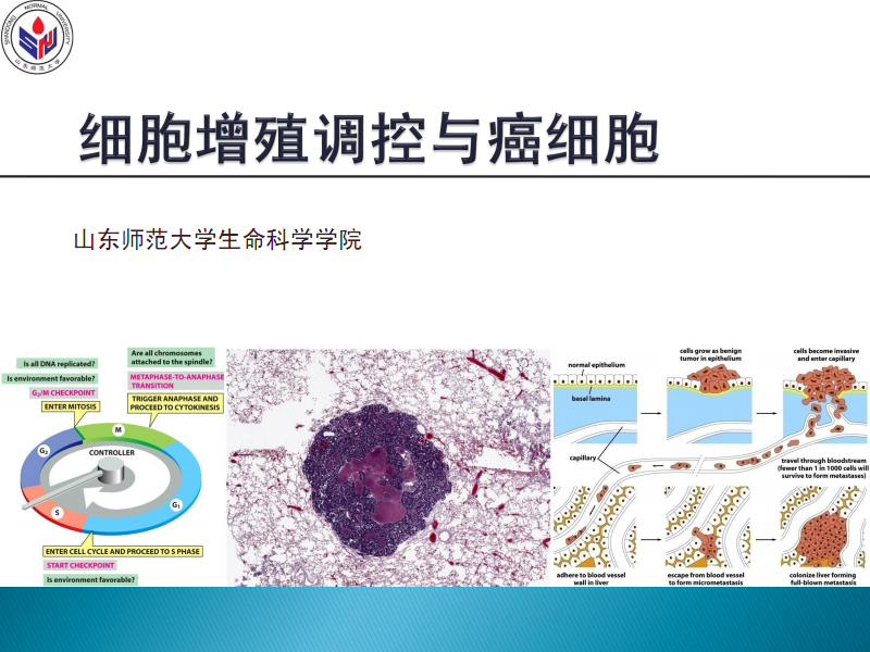 厄洛替尼合成_吉非替尼合成研究_尼洛替尼的合成