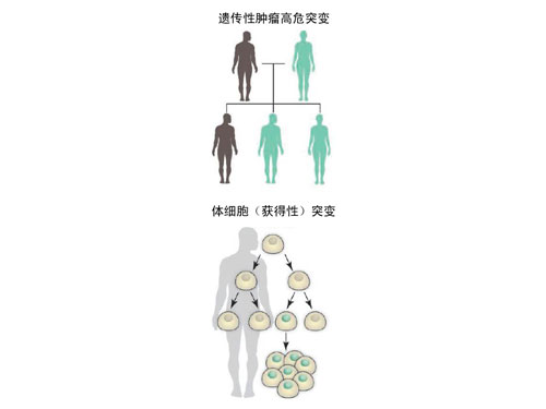 9291奥希替尼价格_阿斯利康 奥希替尼_奥希替尼耐药可以吃184吗