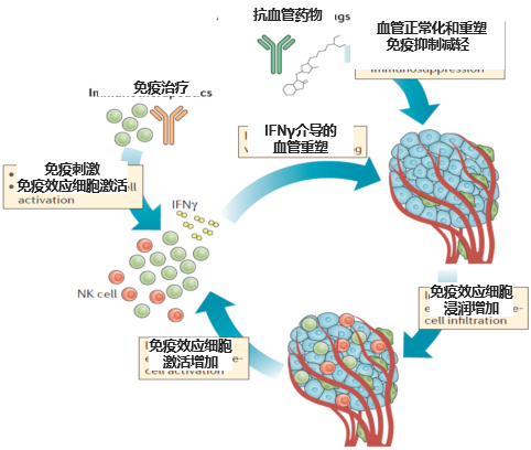 贝伐珠单抗 耐药性_贝伐珠单抗临床试验副作用_贝伐珠单抗价格