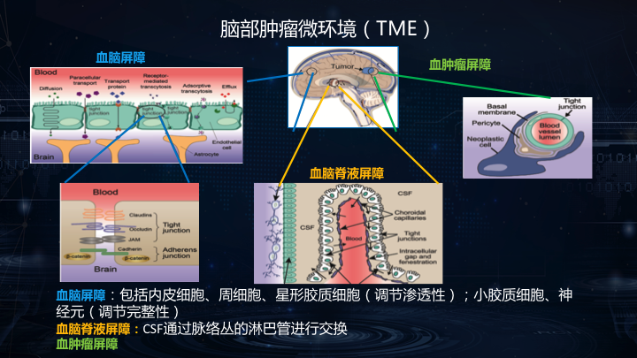 贝伐珠单抗肝疼_贝伐珠单抗的副作用_贝伐珠单抗是化疗药吗